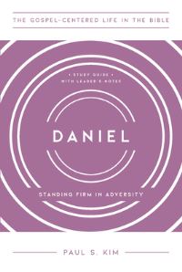 Book Cover for Daniel by Paul S Kim