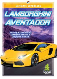 Book Cover for Lamborghini Aventador by Craig Ellenport