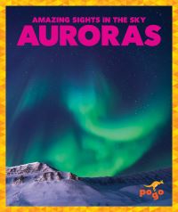 Book Cover for Auroras by Jane P Gardner