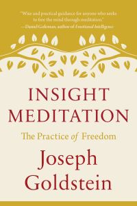 Book Cover for Insight Meditation by Joseph Goldstein