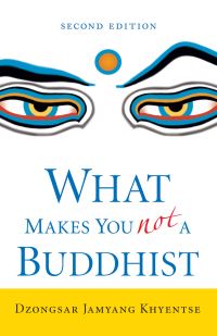 Book Cover for What Makes You Not a Buddhist by Jamyang Khyentse
