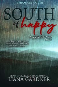 Book Cover for South of Happy by Liana Gardner