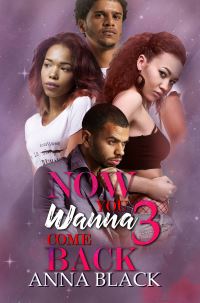 Book Cover for Now You Wanna Come Back 3 by Anna Black
