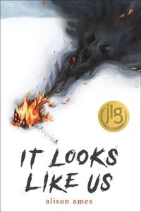 Book Cover for It Looks Like Us by Alison Ames