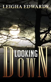 Book Cover for Looking Down by Leigha Edwards