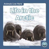 Book Cover for Life in the Arctic by Connor Stratton