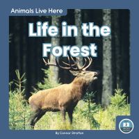 Book Cover for Life in the Forest by Connor Stratton
