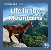 Book Cover for Life in the Mountains by Connor Stratton