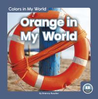 Book Cover for Orange in My World by Brienna Rossiter