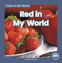 Book Cover for Red in My World by Brienna Rossiter