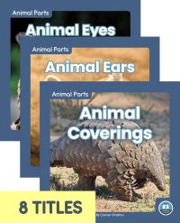 Book Cover for Animal Parts by Connor Stratton