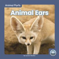 Book Cover for Animal Ears by Connor Stratton