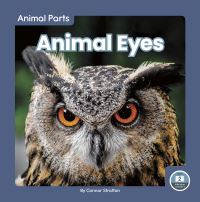 Book Cover for Animal Eyes by Connor Stratton