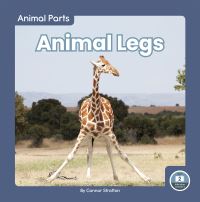 Book Cover for Animal Legs by Connor Stratton