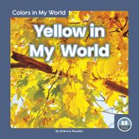 Book Cover for Yellow in My World by Brienna Rossiter