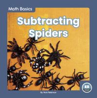 Book Cover for Subtracting Spiders by Nick Rebman