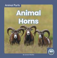 Book Cover for Animal Horns by Connor Stratton