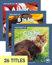 Book Cover for Alphabet Fun by 