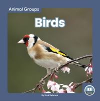 Book Cover for Birds by Nick Rebman