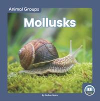 Book Cover for Mollusks by Dalton Rains