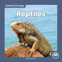 Book Cover for Reptiles by Dalton Rains