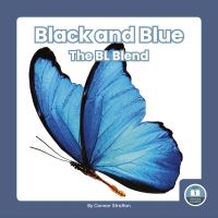 Book Cover for Black and Blue by Connor Stratton