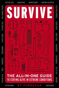 Book Cover for Survive by Ky Furneaux