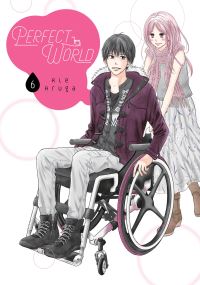 Book Cover for Perfect World. 6 by Rie Aruga