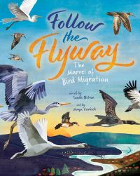Book Cover for Follow the Flyway by Sarah Nelson