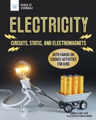 Book Cover for Electricity by Carmella Van Vleet