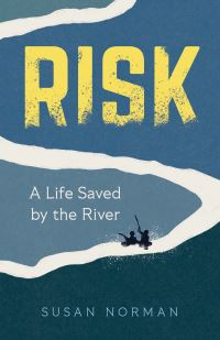 Book Cover for Risk by Susan Norman