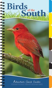 Book Cover for Birds of the South by Stan Tekiela