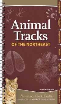 Book Cover for Animal Tracks of the Northeast by Jonathan Poppele