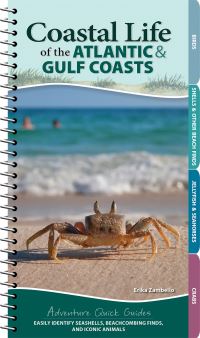 Book Cover for Coastal Life of the Atlantic & Gulf Coasts by Erika Zambello