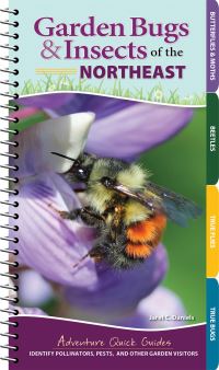 Book Cover for Garden Bugs & Insects of the Northeast by Jaret C Daniels