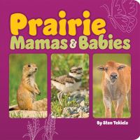 Book Cover for Prairie Mamas & Babies by Stan Tekiela