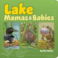 Book Cover for Lake Mamas & Babies by Stan Tekiela