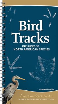 Book Cover for Bird Tracks by Jonathan Poppele