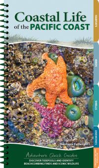 Book Cover for Coastal Life of the Pacific Coast by Stephanie Panlasigui