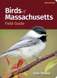 Book Cover for Birds of Massachusetts Field Guide by Stan Tekiela
