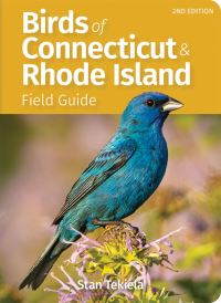 Book Cover for Birds of Connecticut & Rhode Island Field Guide by Stan Tekiela