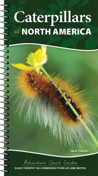 Book Cover for Caterpillars of North America by Jaret C Daniels