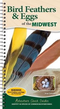 Book Cover for Bird Feathers & Eggs of the Midwest by Stan Tekiela