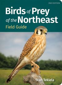 Book Cover for Birds of Prey of the Northeast by Stan Tekiela