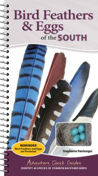 Book Cover for Bird Feathers & Eggs of the South by Stephanie Panlasigui