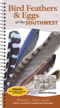 Book Cover for Bird Feathers & Eggs of the Southwest by Stephanie Panlasigui