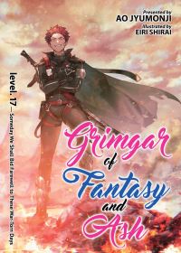 Book Cover for Grimgar of Fantasy and Ash. Vol. 17 by Ao Jumonji