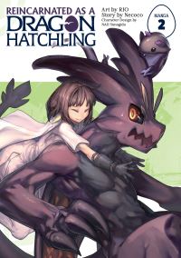 Book Cover for Reincarnated as a Dragon Hatchling. 2 by Necoco