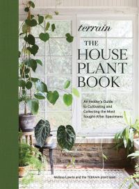 Book Cover for Terrain by Melissa Lowrie, Caroline Lees