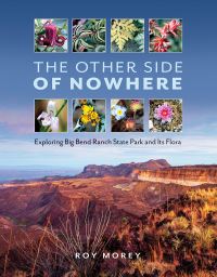Book Cover for The Other Side of Nowhere by Roy Morey